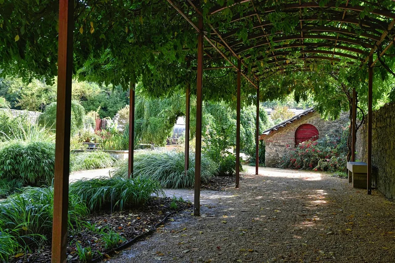 Zahradní pergola porostlá popínavými rostlinami